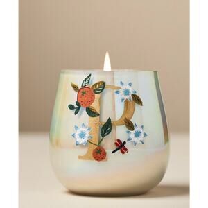 Anthropologie Fruity Monogram “P” Floral Night Gardenia
Glass Candle